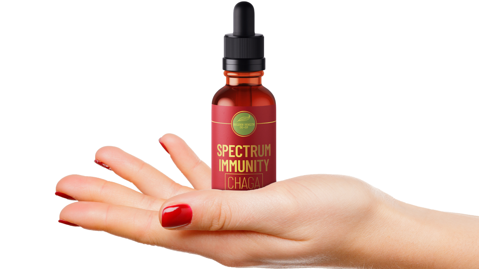 Chaga Mushroom Tincture Spectrum Immunity